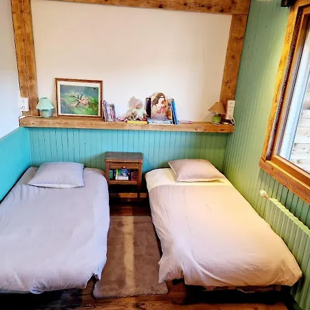 Vosges, Quiet Four Bedroom Chalet, Cinema, Games 別荘 クソンリュプト・ロンジュメール